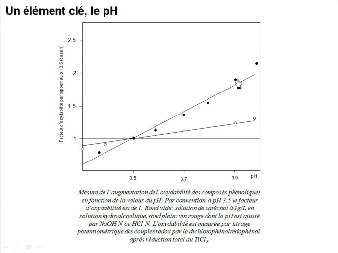 slide_0075_full.jpg