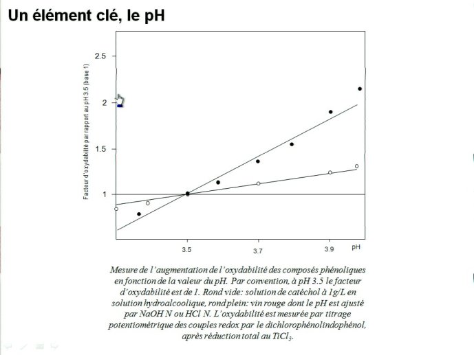 slide_0076_full.jpg