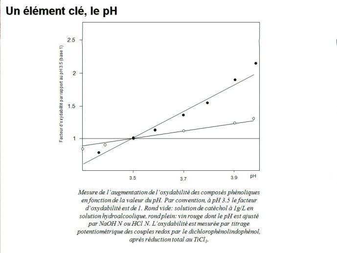 slide_0078_full.jpg