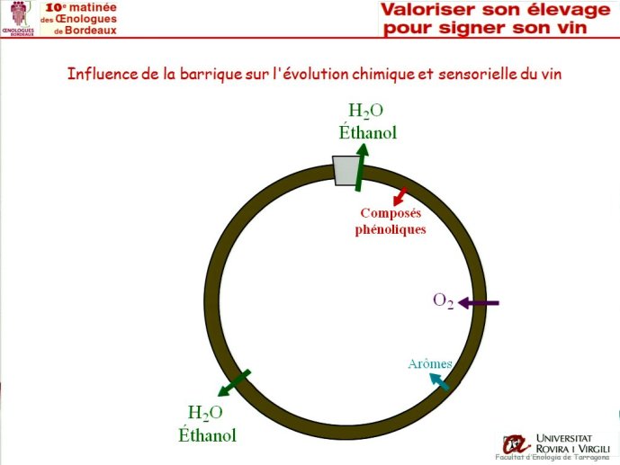 slide_0010_full.jpg