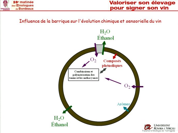 slide_0012_full.jpg