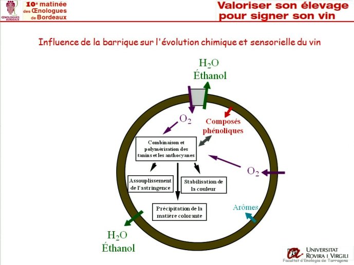 slide_0015_full.jpg