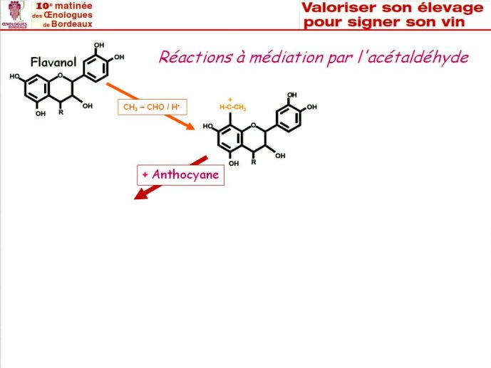 slide_0029_full.jpg