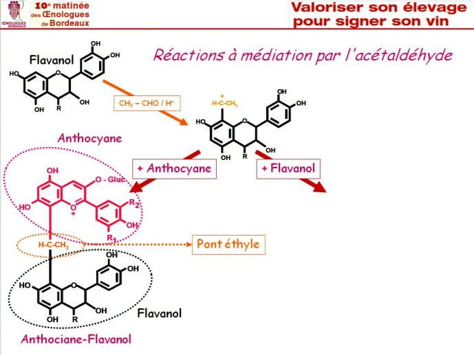 slide_0033_full.jpg