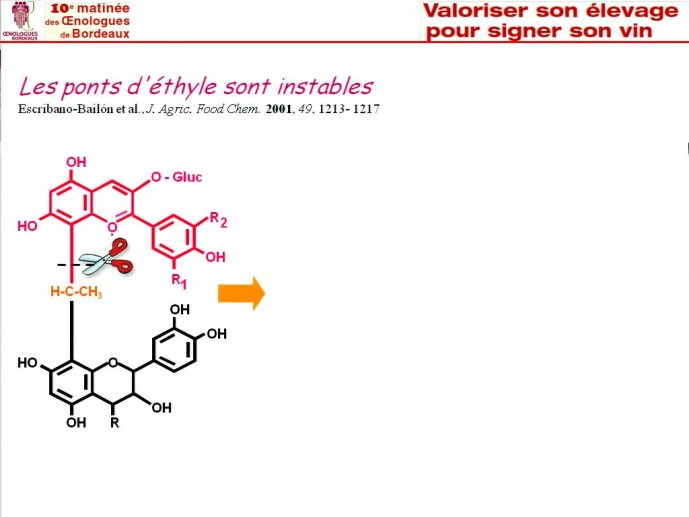 slide_0048_full.jpg