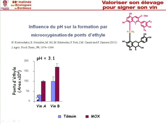 slide_0197_full.jpg