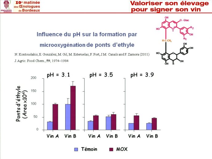 slide_0201_full.jpg