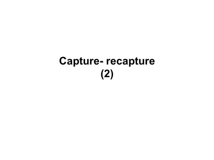 Diapositive11.JPG