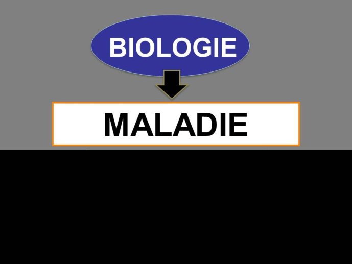 Diapositive6.JPG