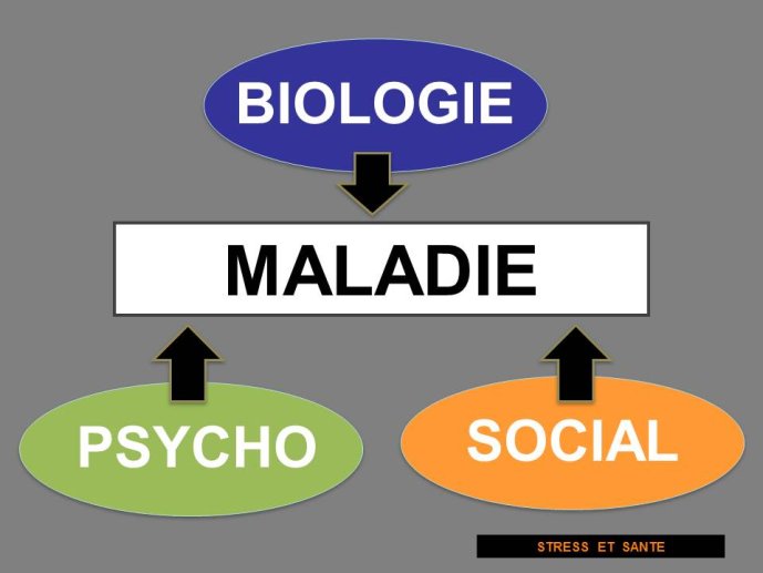 Diapositive7.JPG