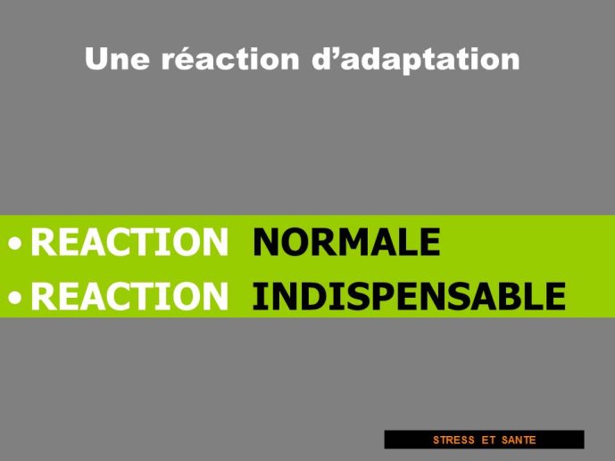 Diapositive28.JPG