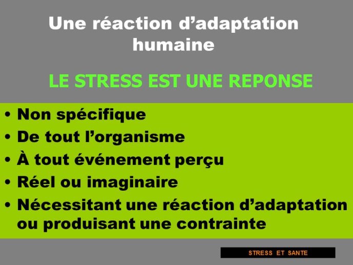 Diapositive31.JPG