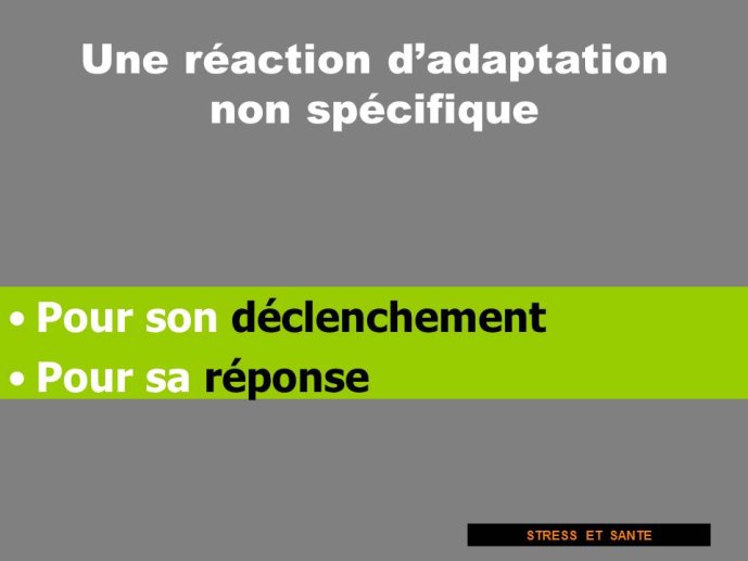 Diapositive32.JPG