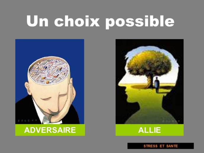 Diapositive78.JPG