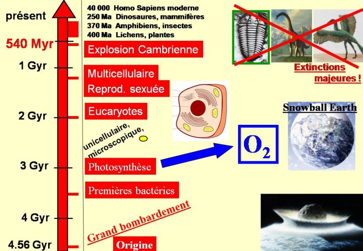 Diapositive26.JPG