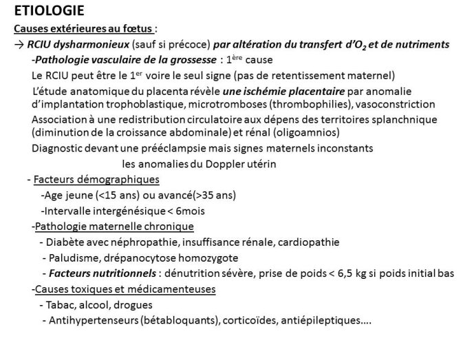 Diapositive5.JPG