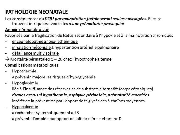 Diapositive10.JPG