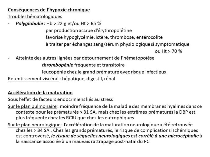 Diapositive11.JPG