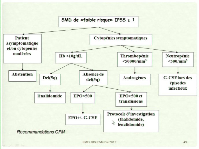 slide_0239_full.jpg