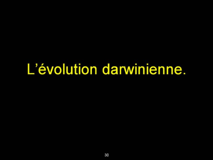 Diapositive30.jpg