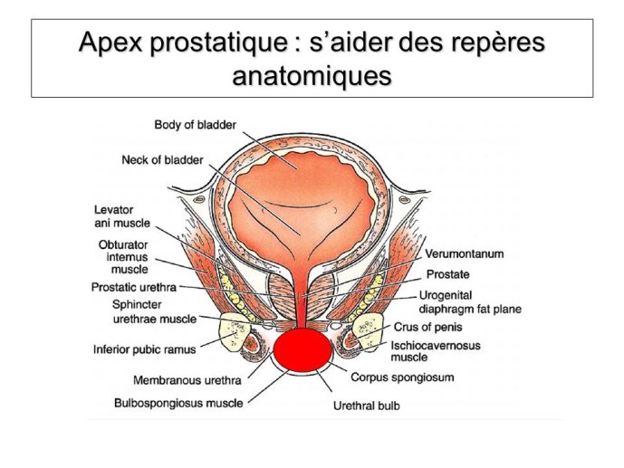 Diapositive5.JPG