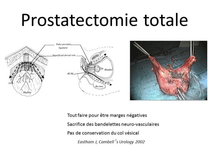 Diapositive26.JPG