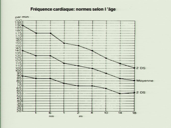 slide_0021_full.jpg