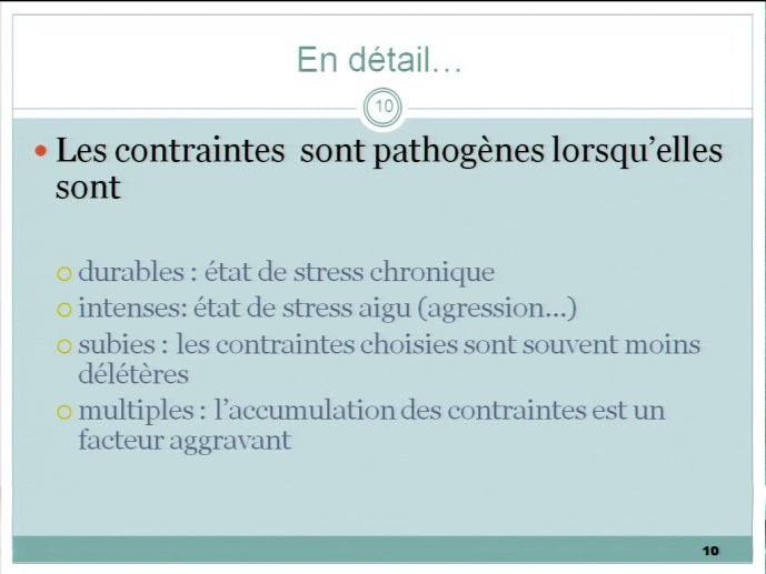 slide_0026_full.jpg