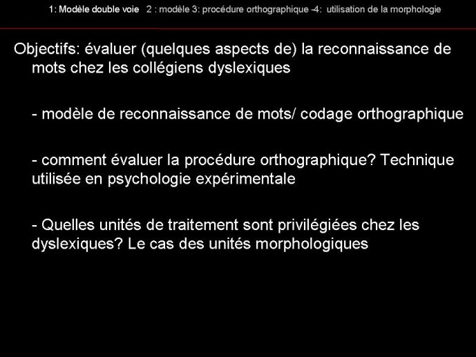 Diapositive04.JPG