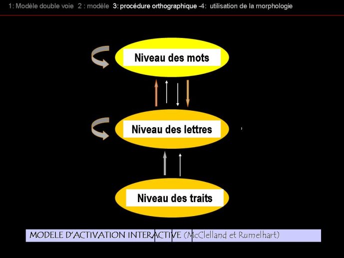 Diapositive05.JPG