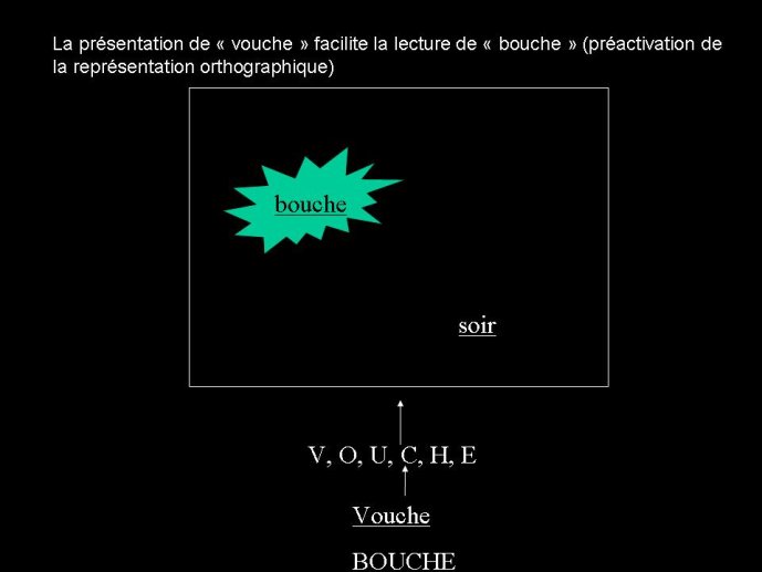 Diapositive13.JPG