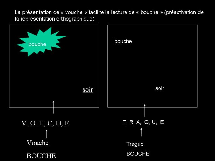 Diapositive14.JPG