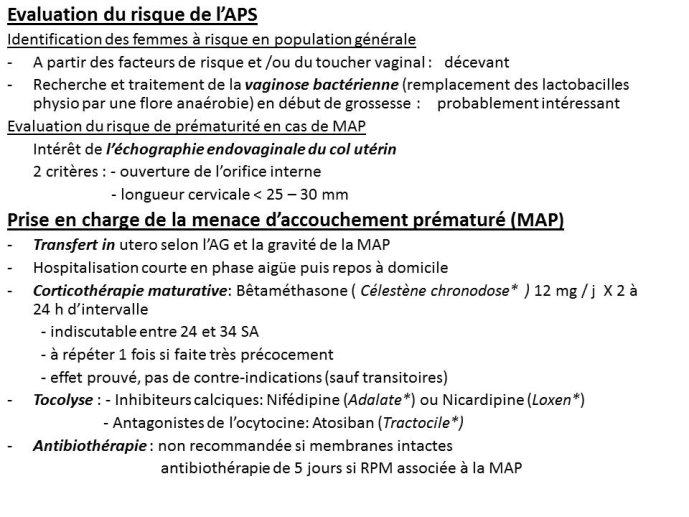 Diapositive5.JPG