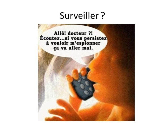 Diapositive14.JPG