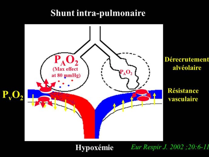 Diapositive8.JPG