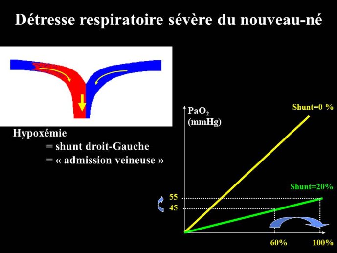 Diapositive9.JPG