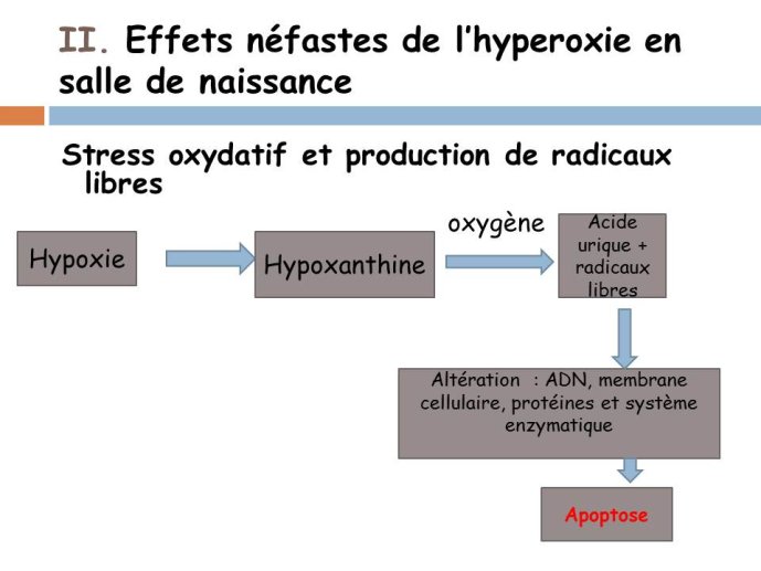 Diapositive6.JPG