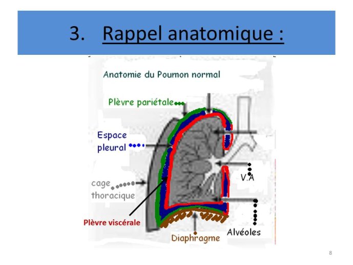 Diapositive8.JPG