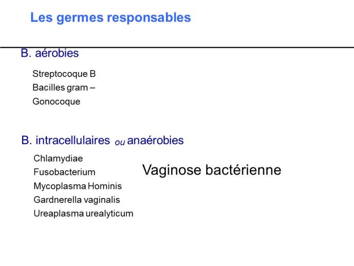Diapositive5.JPG
