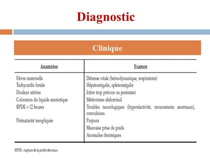 Diapositive12.JPG