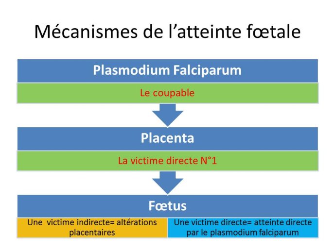 Diapositive5.JPG