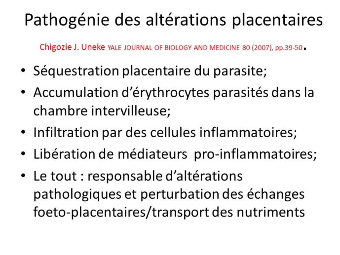 Diapositive6.JPG