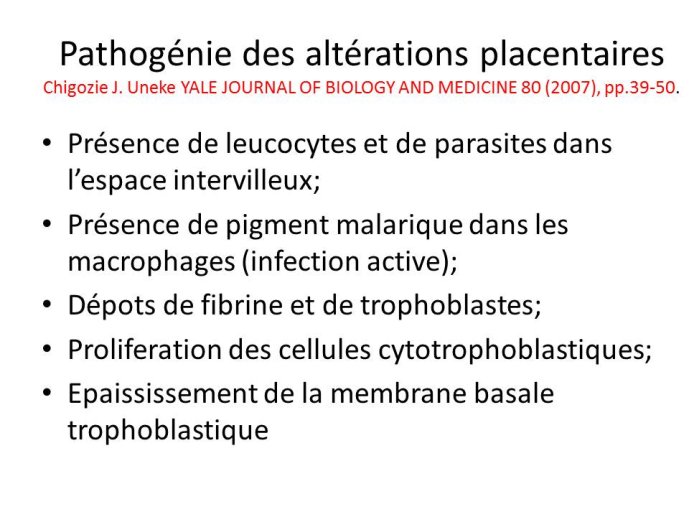 Diapositive7.JPG