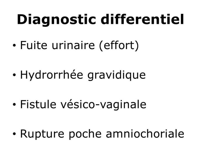 Diapositive33.JPG