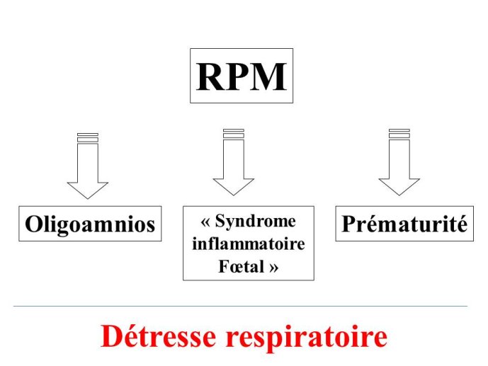 Diapositive14.JPG