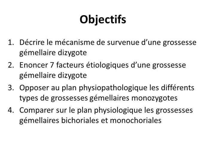Diapositive2.JPG