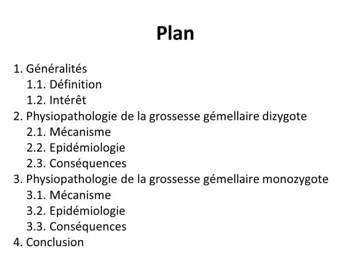 Diapositive3.JPG