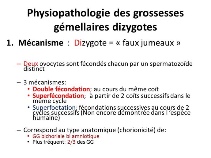 Diapositive6.JPG