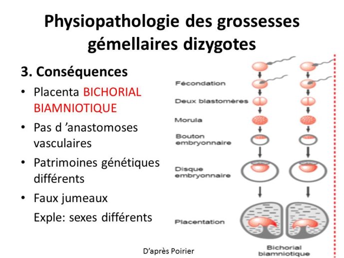 Diapositive8.JPG