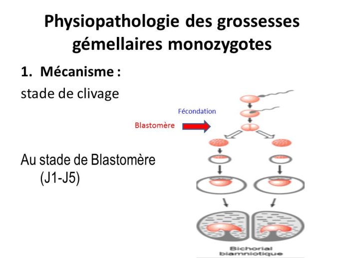Diapositive10.JPG